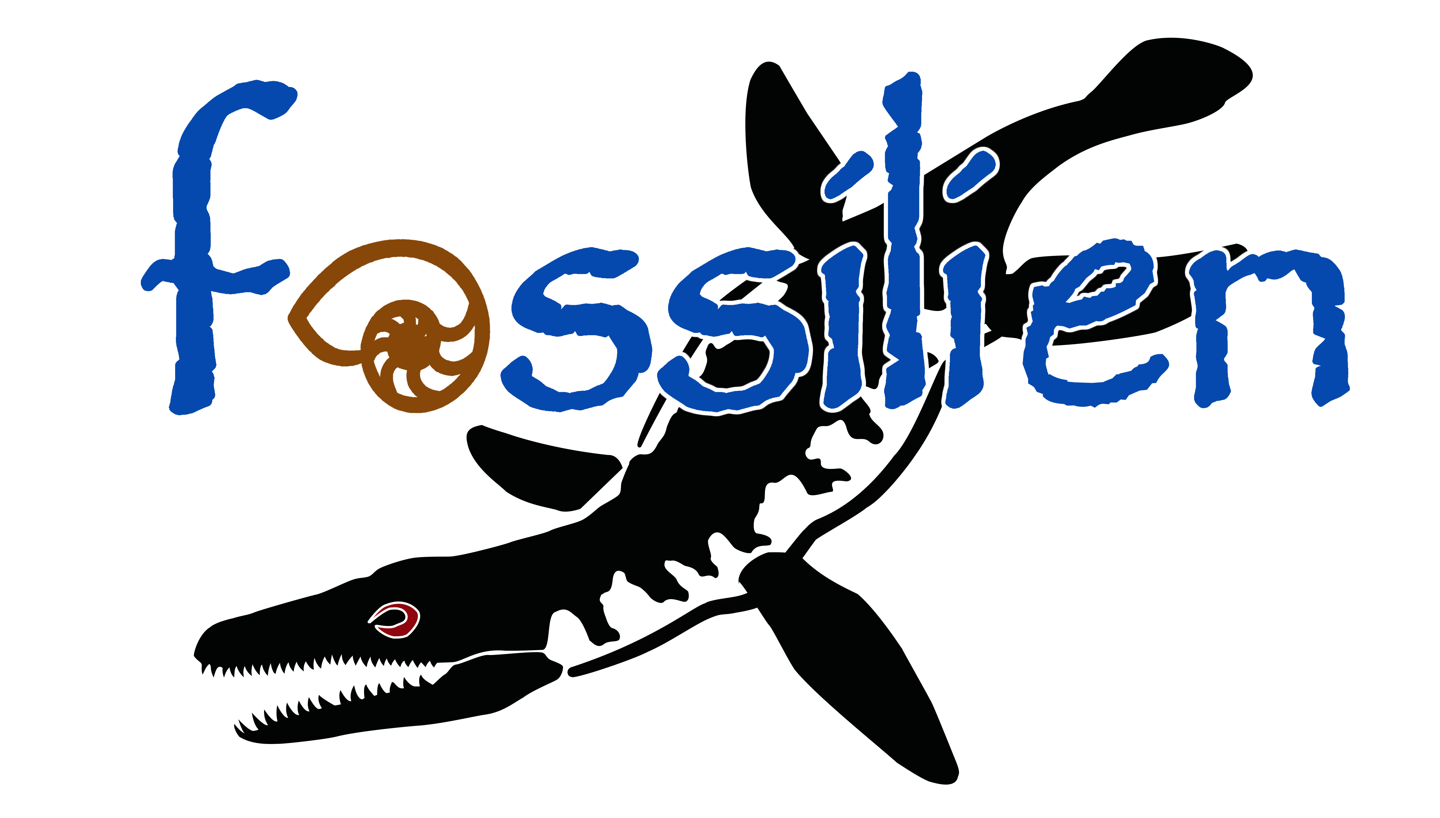 Mosasaurus – Fossilien Company