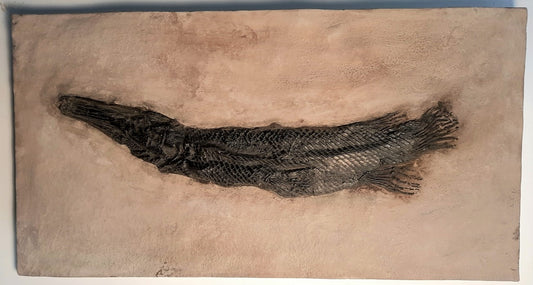 Gar Fish